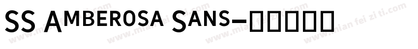 SS Amberosa Sans字体转换